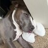 rorbiaybelle